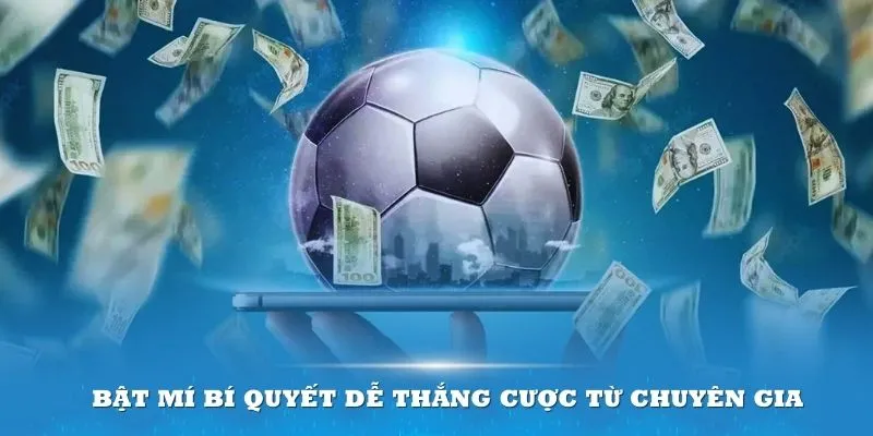 Bật mí bí quyết dễ thắng cược từ chuyên gia